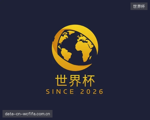 解读世界杯平台